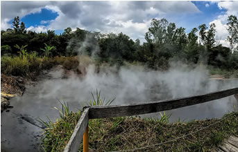 エルサルバドル　サンタテレサ農園　温泉パカマラ