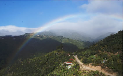 コスタリカ　アグリビッド　オレンジティピカ ハニー