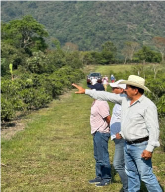 メキシコ　ソエル・イゾデ農園 【Mexico Cup Of Excellence 2025】