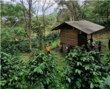 タイ　ソフト・コーヒー農園 【Thailand Cup Of Excellence 2025】